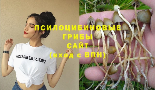 скорость Алексин