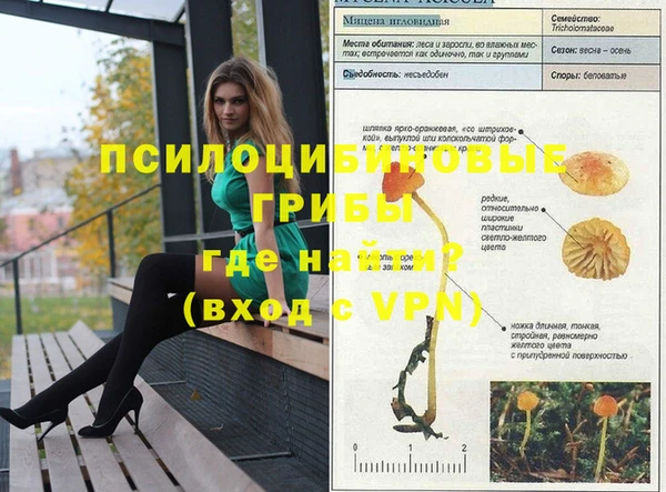гидропоника Няндома
