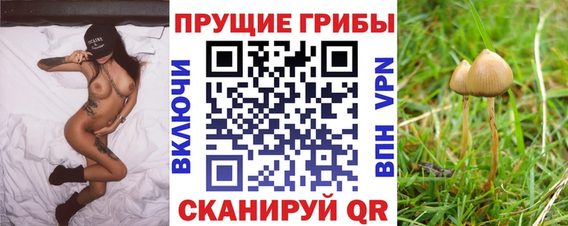 Галлюциногенные грибы прущие грибы Лабинск